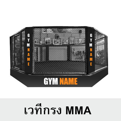 เวทีกรง MMA